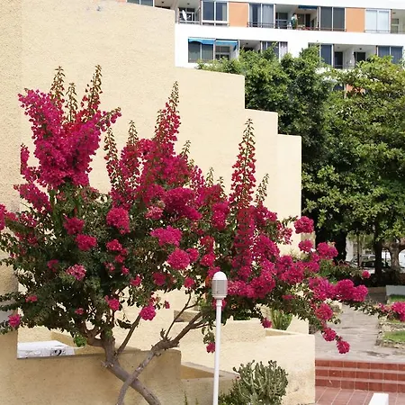 Apartman El Cortijo